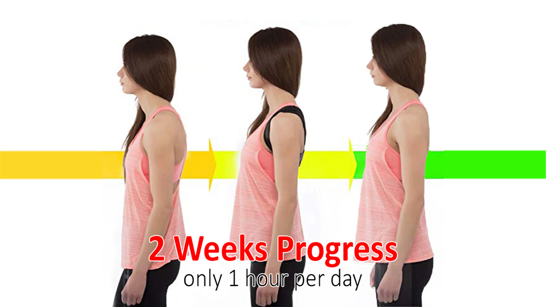 Top 3 Best Back Brace For Posture Unisex 2019 Edition Available With Free Shipping